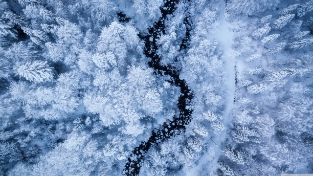 俯拍雪景 树林雾凇 壮丽奇观 4K壁纸