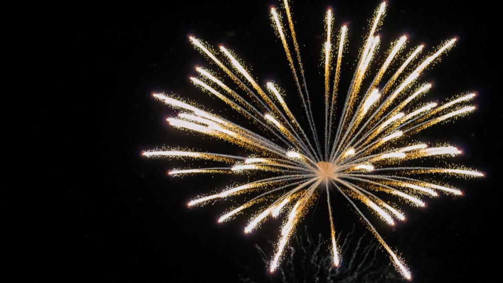 Fireworks in Grosse Pointe(5120x2880) 5K节日高清壁纸 壁纸之家